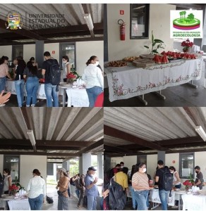 AULA INAUGURAL 1