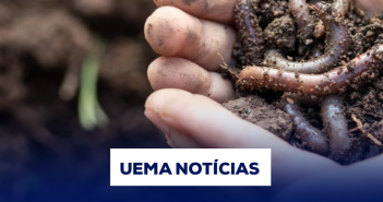 UEMA-NOTICIAS-5-1024x1024