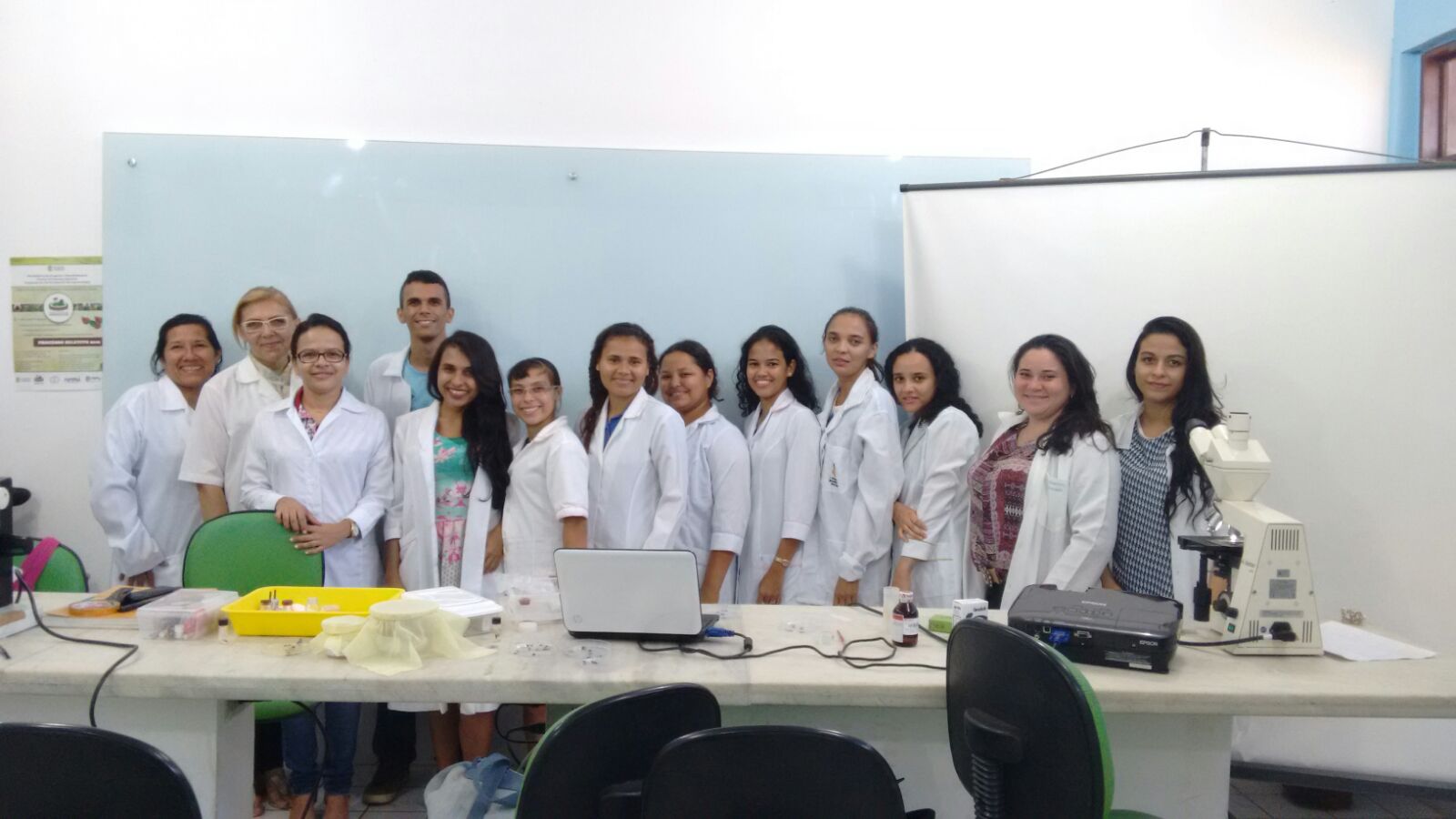 MINICURSO EM TAXONOMIA DE MOSCAS-DAS-FRUTAS