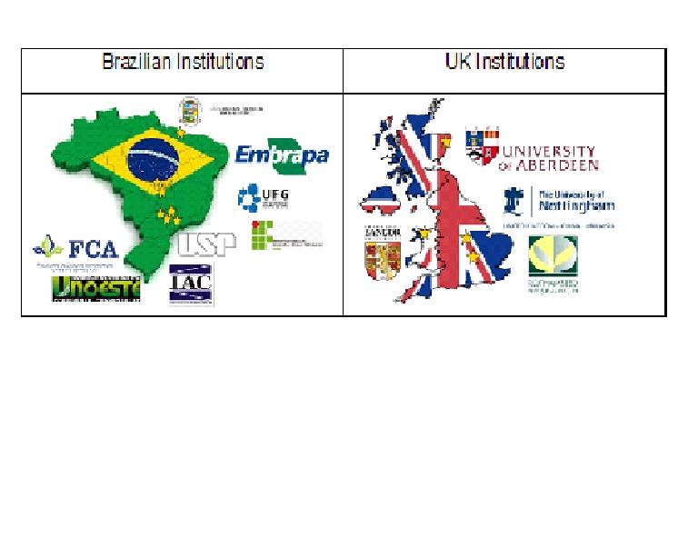 NUCLEUS meeting in São Luís, Maranhão