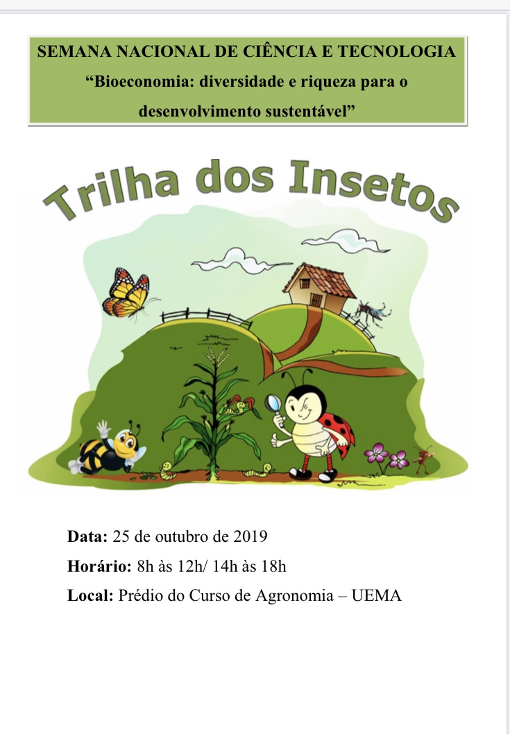 VI EXPOSIÇÃO NA TRILHA DOS INSETOS