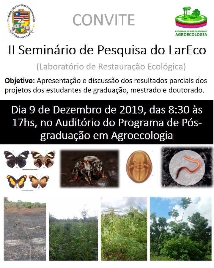 II SEMINÁRIO DE PESQUISA DO LARECO