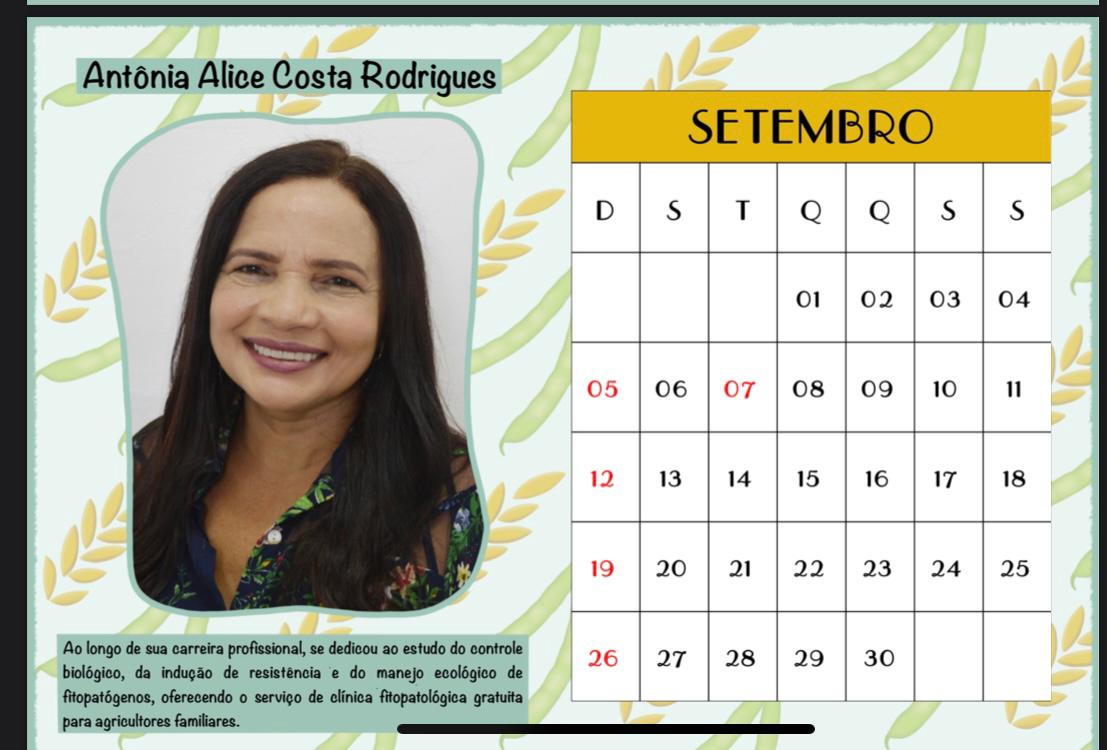 Professora do PPGA Recebe Homenagem da SBF